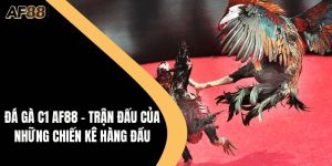 Đá Gà C1 AF88 – Trận Đấu Hàng Đầu